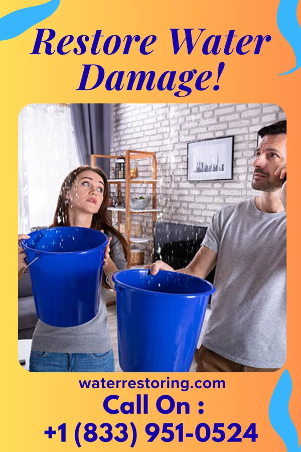 water restoration Crown Water Removal Specialists Lihue